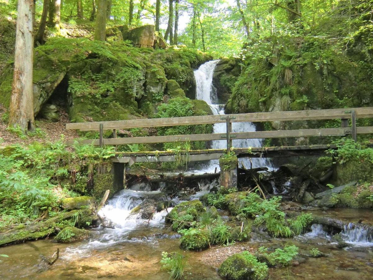 Kandelbleibe Waldkirch Bagian luar foto